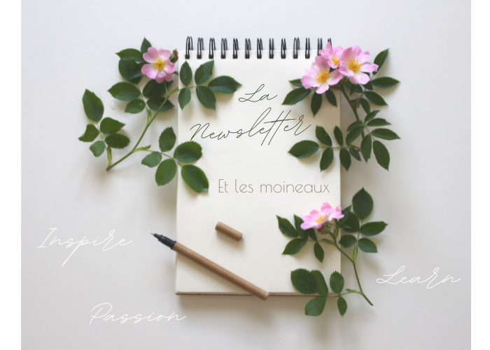 DIY et inspirations newsletter